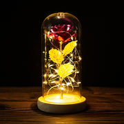 LED Enchanted Galaxy Rose Eternal 24K Gold Foil Flower