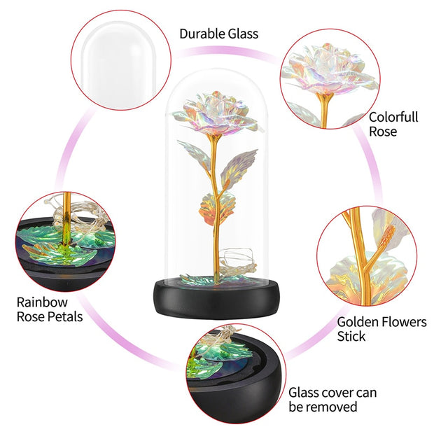 Beauty and The Beast Preserved Roses In Glass Galaxy Rose Flower LED Light