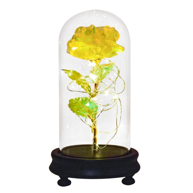 Beauty and The Beast Preserved Roses In Glass Galaxy Rose Flower LED Light