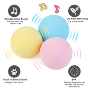 Interactive Ball Catnip Cat Training Toy